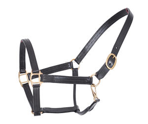 Halters de cheval en cuir rembourré fabriqués en Inde, licou de course de chevaux robuste à double couture de la meilleure qualité dans les tailles complètes d'épi - Product Image 4