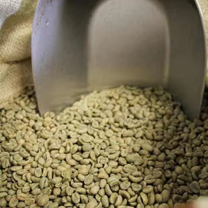 Grains de café vert Robusta biologique du Vietnam S16 cassés noirs 0,1% certifiés USDA Marque TNFOOD Grade G1/G2 Sacs de 1000 kg en gros - Product Image 1