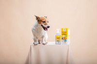 Brosses à mousse sèche écologiques Urban Moof avec Aloe Vera et Bergamote pour chiens et chats - Sécurité absolue pour les animaux de compagnie - Best-seller en Thaïlande