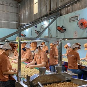 W320สุญญากาศบรรจุภัณฑ์และเม็ดมะม่วงหิมพานต์จากเวียดนาม - Product Image 1