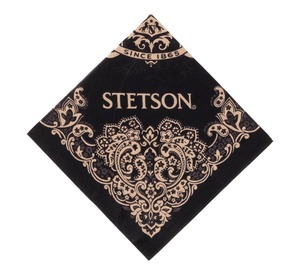 100% Cotton Printed Bandanas <b>for</b> <b>Men</b> Good Quality Square <b>Scarves</b> with Dot Pattern Digital Printing <b>for</b> Spring - Product Image 2