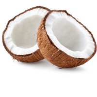 Wild kokospoeder kruidenextract plantaardig kokosingrediënt functioneel voedingsmiddel drank groothandel OEM leverancier Thailand