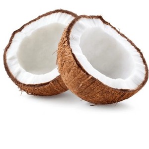 Wild Coconut Powder Herbal Extract <b>Plant</b>-Based Coconut Ingredient <b>for</b> Functional Food Beverage Wholesale OEM Supplier Thailand - Product Image 4