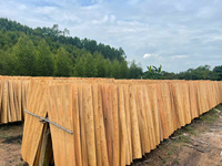 Contreplaqué matière première noyau de placage à partir de grumes d'acacia eucalyptus du Vietnam fournisseur aux Philippines bon prix bonne qualité