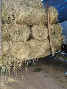 ROLLOS DE PAJA DE ALTA CALIDAD SOLUCIÓN DURADERA Y ECOLÓGICA PARA MÚLTIPLES USOS - Product Image 2