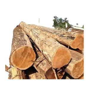 Bois de chêne et hêtre Bois de chauffage mixte Bois de chauffage bûches Vente en vrac de bois de chauffage de grumes de mangrove Produit lié à l'énergie - Product Image 5