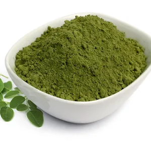 Hoge Kwaliteit Best Verkopende Food Grade Plant Extract Gedroogde Moringa Oleifera Leaf Exporteur