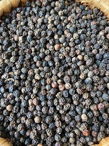 MC POIVRE NOIR NETTOYÉ 500 550 570 600G/L 5MM GRAS DU VIETNAM - Ms.Ellen - Product Image 6