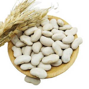 Affordable White Kidney <b>Beans</b> Supplier Fast Delivery Worldwide - Product Image 5