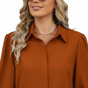 Chemise de bureau vintage imprimée pour femmes automne/hiver 2025, nouvelle chemise sans manches à col rabattu, ample, en tissu organza pour femmes - Product Image 4