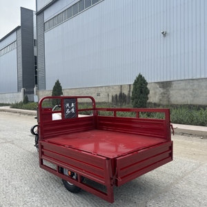 COREY 2026 Véhicules à trois roues/Tuk-Tuks 250cc à succès en Chine, vente directe d'usine - Product Image 3