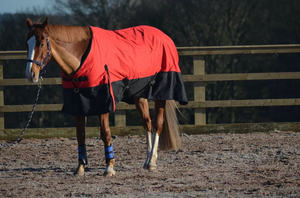 Tapis de cheval d'hiver sur mesure de la meilleure qualité en polyester léger imperméable et respirant - Product Image 4