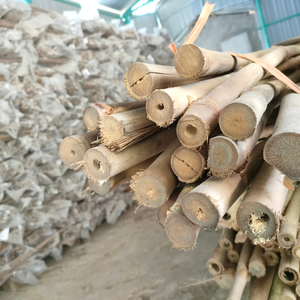 Estacas de Bambú Natural para Jardinería, Paisajismo y Uso Agrícola - Materiales de Bambú Crudo de Alta Calidad, Longitud y Diámetro Personalizables, Vietnam - Product Image 1