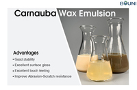 Cire de Carnauba en émulsion, revêtement en émulsion, agriculture/cosmétiques/soins personnels/automobile/produits d'entretien des sols/pharmaceutique/comprimés
