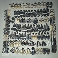 Pierres précieuses en gros KHUSHI GEMS STONE, certifiées par un tiers, Agate Dendritique Quartz, paire de formes mélangées, pierres naturelles en vrac, 20-45mm, 6-10g, Inde