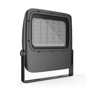 Projecteur en aluminium moulé à chaud de qualité supérieure CE ROHS IP65 100w 150w 200 watt LED Flood Light avec le meilleur prix