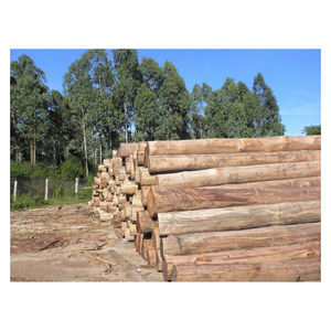 ท่อนไม้ยูคาลิปตัสทรงกลมราคาสมเหตุสมผลสำหรับทำเฟอร์นิเจอร์จากเวียดนาม - Product Image 2