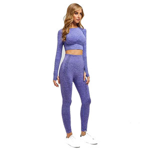 Sports Girls Seamless Fitness Sport Wear High Elastic Women Yoga Set High Gym <b>Crop</b> Top and Breathable Yoga <b>Leggings</b> Set - Product Image 1