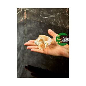 Natural Vietnam Turbo Shell Napkin Rings Handmade Coastal Look for Wedding Reception - Product Image 3