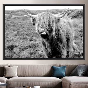 Toile d'art imprimée avec motif de vache des Highlands : élégante décoration murale représentant du bétail écossais, TOILE ENCADRÉE NOIRE - Product Image 1