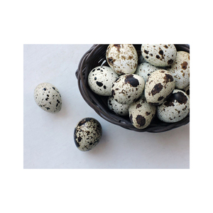 High Quality quail eggs Farming Agriculture Using Plastic Paper Egg Crate Poultry Turkey Quail 30 Eggs