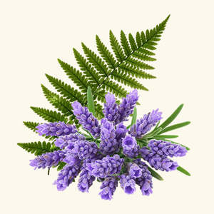 Drakkaris Fragrance Oil Premium <b>Perfume</b> Oil - Product Image 1