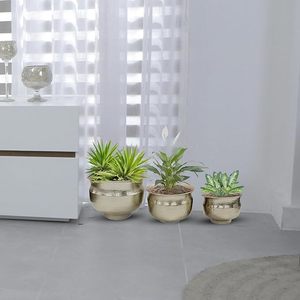 Lujo en flor Golden Glow Powder Coated Gold Macetas Must-Have Home and Garden Glamour para sus plantas - Product Image 4