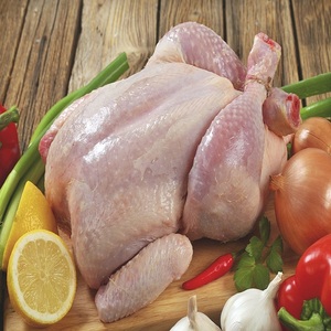 Pollo Halal Congelado Fresco de Brasil, Pollo Entero Halal Congelado de Calidad y Partes de Pollo de Brasil Disponibles Ahora en Stock - Product Image 3