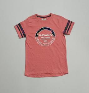 T-shirt uni grande taille à col rond en coton biologique épais surdimensionné T-shirt lourd T-shirt logo sérigraphie personnalisée pour hommes - Product Image 5