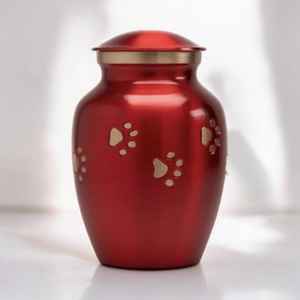 Urne classique en laiton pour animaux de compagnie avec des accents d'empreinte de patte d'or finition brillante métal commémoratif gravure personnalisée ailes d'ange petites urnes pour animaux de compagnie - Product Image 5