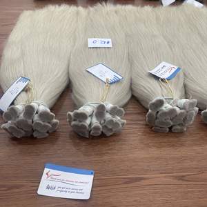 Extensiones de Cabello Liso Virgen Remy Vietnamita 100% al por Mayor Thanh An - Cabello a Granel Teñido de 100g Listo para Enviar - Product Image 2