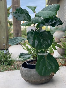 High Quality Rustic Round Reclaimed Metal Vintage Hanging Tub <b>Planter</b> <b>Bowl</b> for Home & Garden Decoration for Outdoor & Indoor Use - Product Image 5