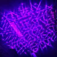 Light-ML-02 de laser de scintillement coloré extérieur