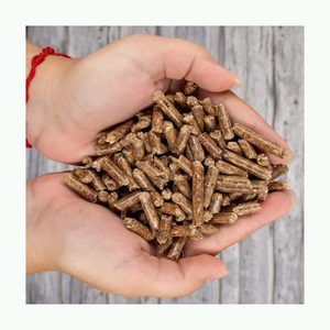 Fournisseur en vrac de granulés de bois renouvelables de qualité supérieure pour poêles chaudières fours et maisons écologiques - Product Image 3