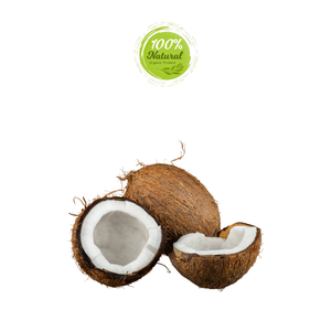 L'arôme irrésistible de la noix de coco séchée torréfiée - Product Image 4