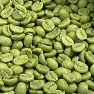 เมล็ดกาแฟคั่วบด20กก. 100% โรบัสต้าแบบพรีเมี่ยม - Product Image 5