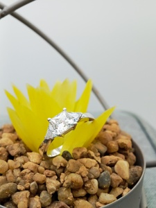 Men's Luxury 10K 18K Gold Hip Hop Trend Ring for GIA Certified Full VVS Natural Rounded Baguette Princess Cut for Weddings - Product Image 6