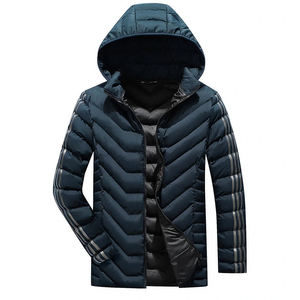 Chaqueta Acolchada Impermeable y Transpirable con Capucha para Hombre, Diseño Personalizado 2026, para la Temporada de Invierno, Servicios OEM, Diseño de Logotipo, Ropa Urbana - Product Image 4
