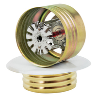 Système de Sprinkler Anti-incendie 68 Degrés en Acier Inoxydable Montage au Plafond Tête de Sprinkler Anti-incendie Cachée