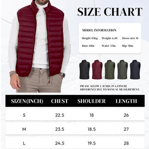 Chaqueta de Invierno Popular con Diseño de Logotipo Personalizado, Chaqueta Casual con Capucha para Hombre, Acolchada, Transpirable, Ligera, sin Mangas, Estilo Burbuja - Product Image 5