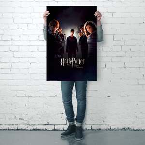 Modern Style for Harry Potter and the Order of the Phoenix Canvas <b>Poster</b> for Wall Use - Product Image 3