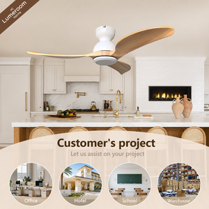 Ventilador de Techo de 42 Pulgadas con Aspas de Madera Natural, Sin Luz, Montaje Empotrado, 3 Aspas, Estilo Nórdico, Motor DC Silencioso, Control Remoto para el Hogar - Product Image 4