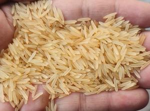 Arroz Premium Sella Basmati disponible para suministro a granel con grano largo - Product Image 5