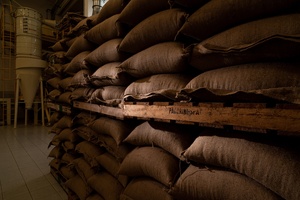 Ligne de capsules de café torréfié italien spécial Perla Nera Boîte de 100 bouchons GVerdi Sélection alimentaire italienne Made in Italy - Product Image 3