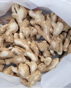 Rodajas de Jengibre Seco Premium, Calidad de Exportación de Vietnam - Product Image 5