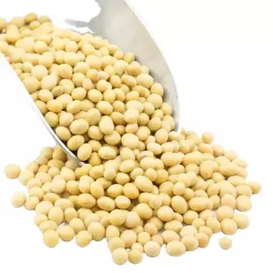 新鮮で乾燥した非遺伝子組み換え大豆穀物/大豆、大豆種子、大豆種子