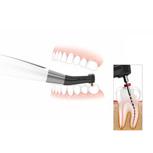 AMAIN <span class=keywords><strong>Woodpecker</strong></span> EndoMatic LED Wireless Dental Endo <span class=keywords><strong>Motor</strong></span> Endodontic Machine - Product Image 5