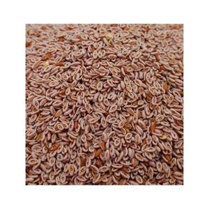 Orgánica cáscara de psyllium 98% suplemento de fibra natural a granel directo de fábrica al por mayor de La India - Product Image 1