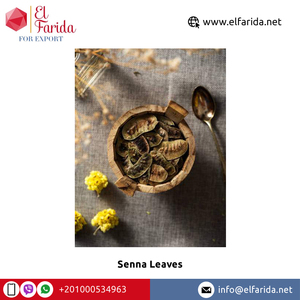 Hojas de Senna para especias y hierbas secas, suministro de fábrica de alta calidad, hojas de Senna para la venta - Product Image 3