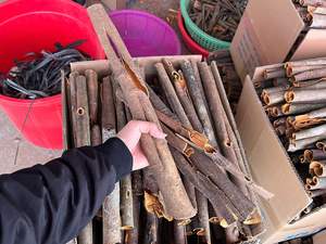 Bâton de cannelle séché CASSIA de haute qualité au Vietnam à bas prix - Product Image 2